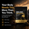 Himalayan Shilajit Gummies (60 Gummies)